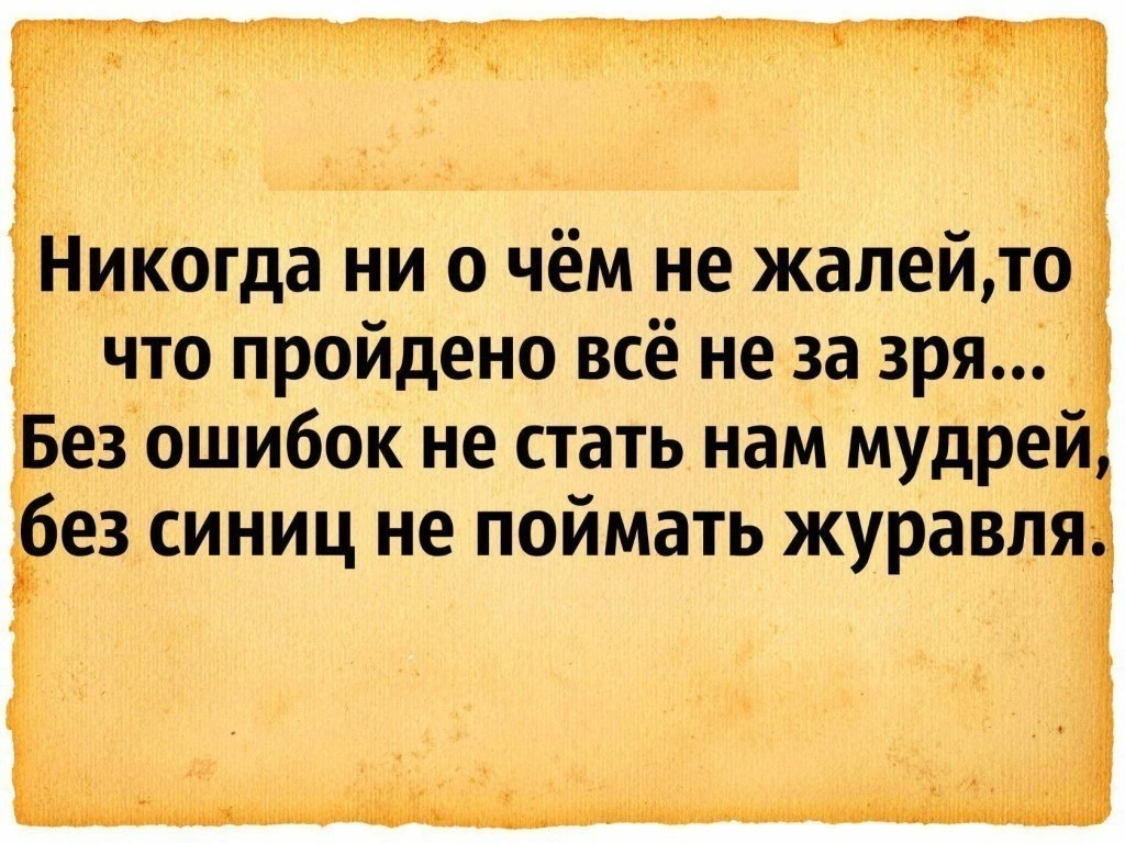 Мудрая идея. Цитаты мудрецов. Мудрость цитаты. Афоризмы про мудрость. Умные высказывания.