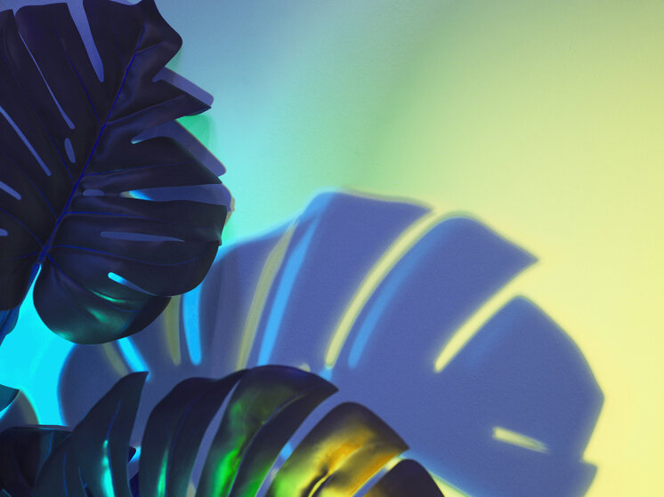     С 10 по 11 июля будет высок риск острых конфликтов. Фото: freepik.com