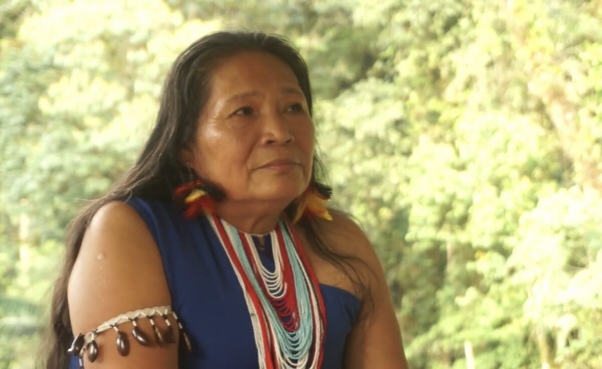 Роза Джимпикит 