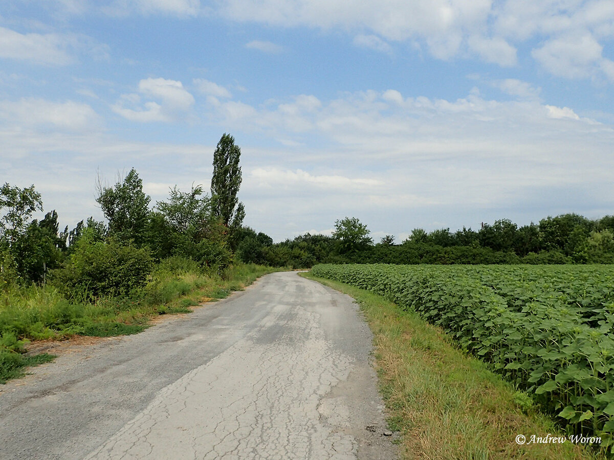 Дорога к парку от села