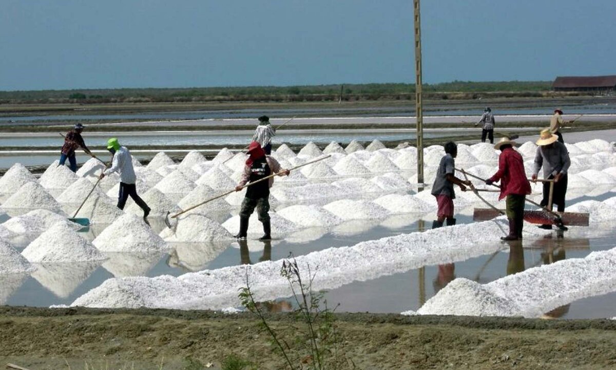 Совершенно случайно наткнулась на вот такое фото. Это соляная ферма. Несмотря на кажущуюся легкость добыча соли – неимоверно тяжелый труд. 