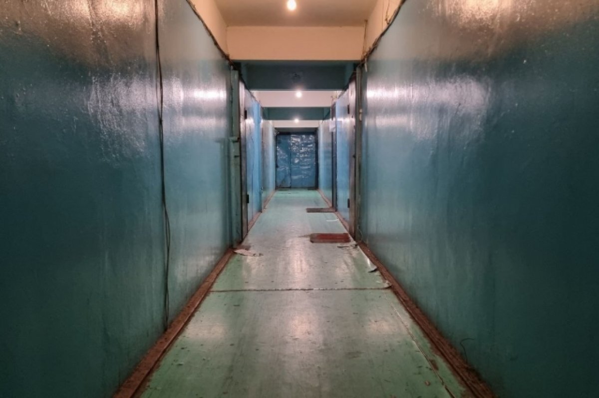    Тихоня в камуфляже.