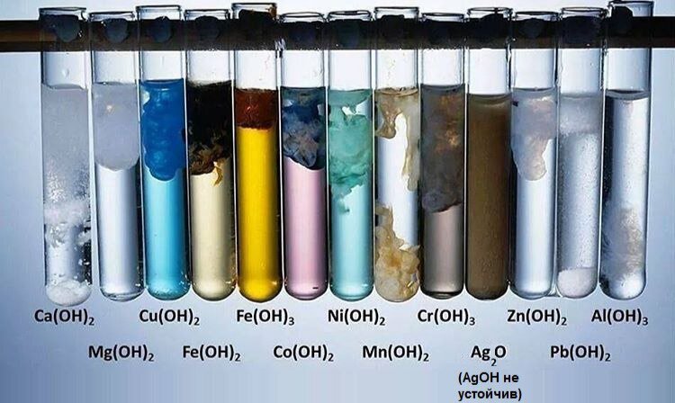 Цвет разных оснований 