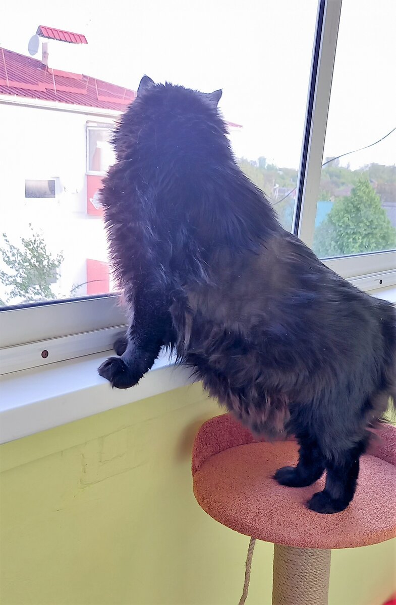 За фото Кеши благодарю НАТАЛЬЮ)