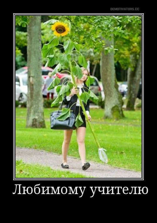 Какой подсолнух...