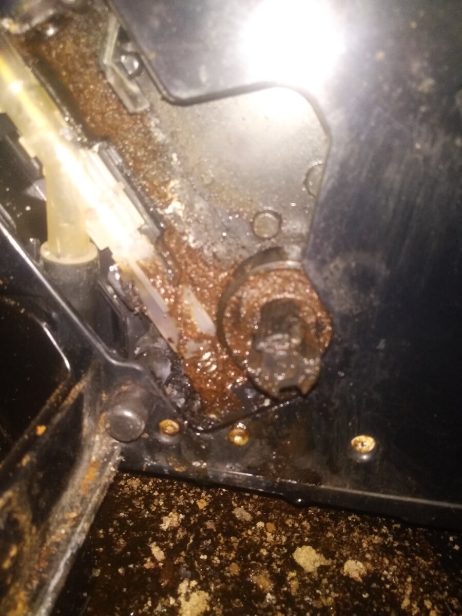 Грязь, плесень, насекомые!!! Люди не травите себя!!! Хотя-бы раз в месяц мойте и чистите свою кофемашину.