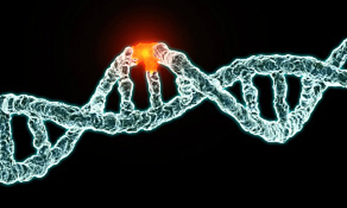Мутация ДНК. Мутагенез генетика. Мутация ДНК человека. Мутация в гене. Изменения в генах происходят в результате