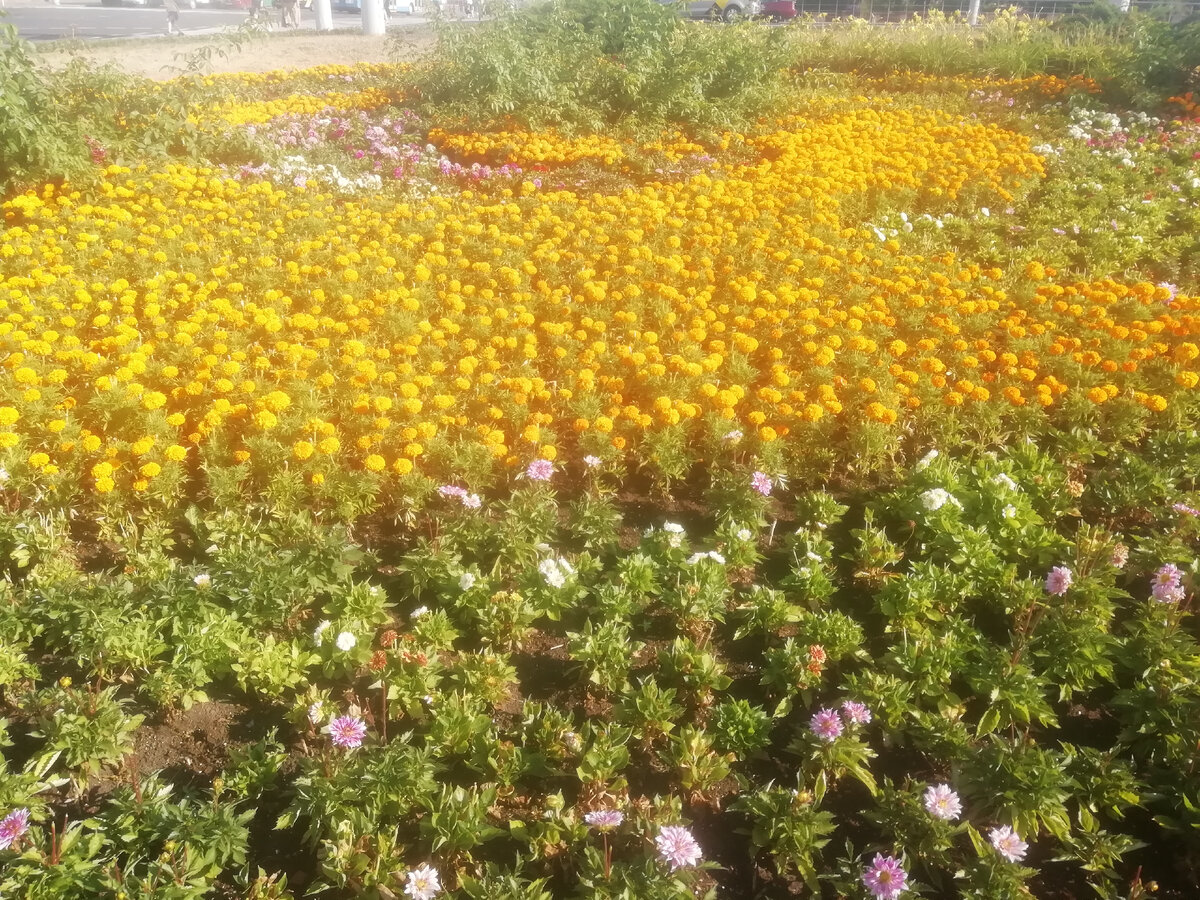 Хорошего всем настроения и позитива на весь день!