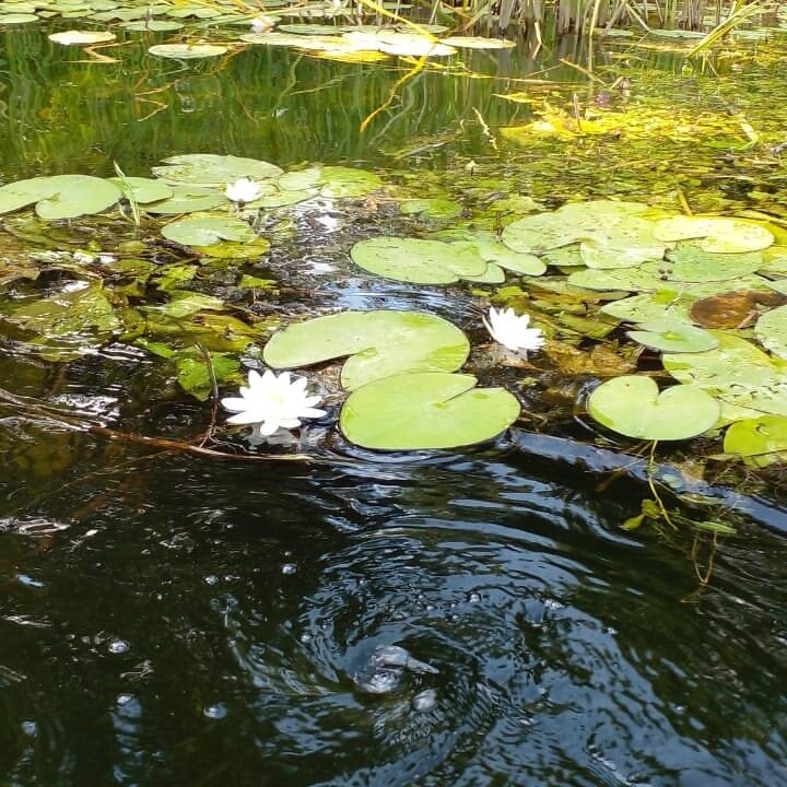 фотография автора статьи