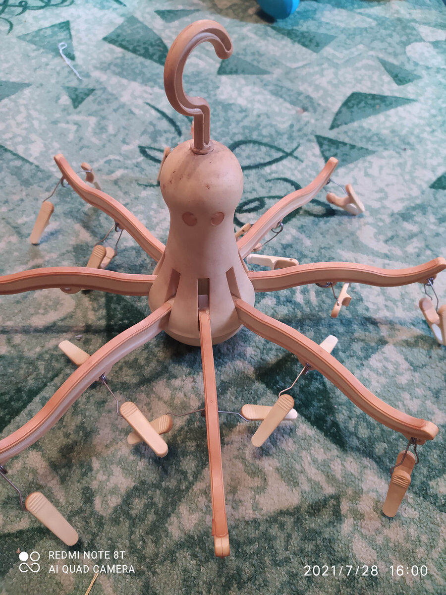 Осьминог. Фото автора.