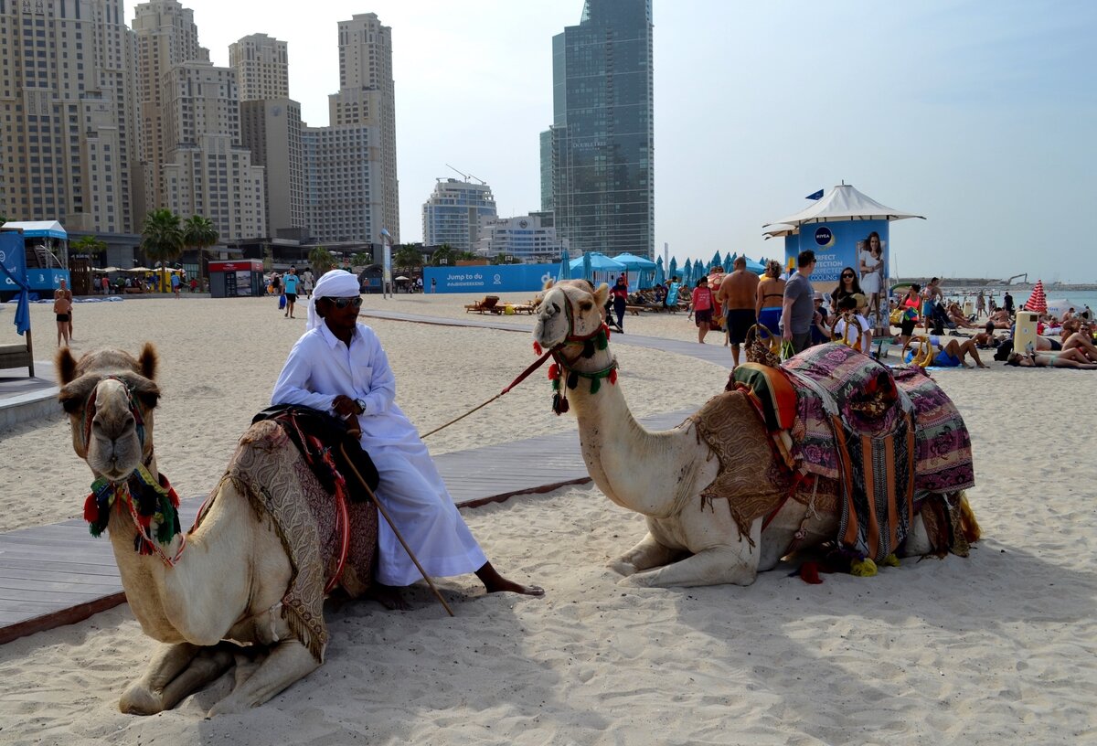 В Дубае сплошная эклектика: верблюды рядом с машинами и строительными кранами, небоскрёбы и гигантские моллы около пляжа и навесов, женщины в хиджабах неподалёку от полуголых европейских девушек в купальниках