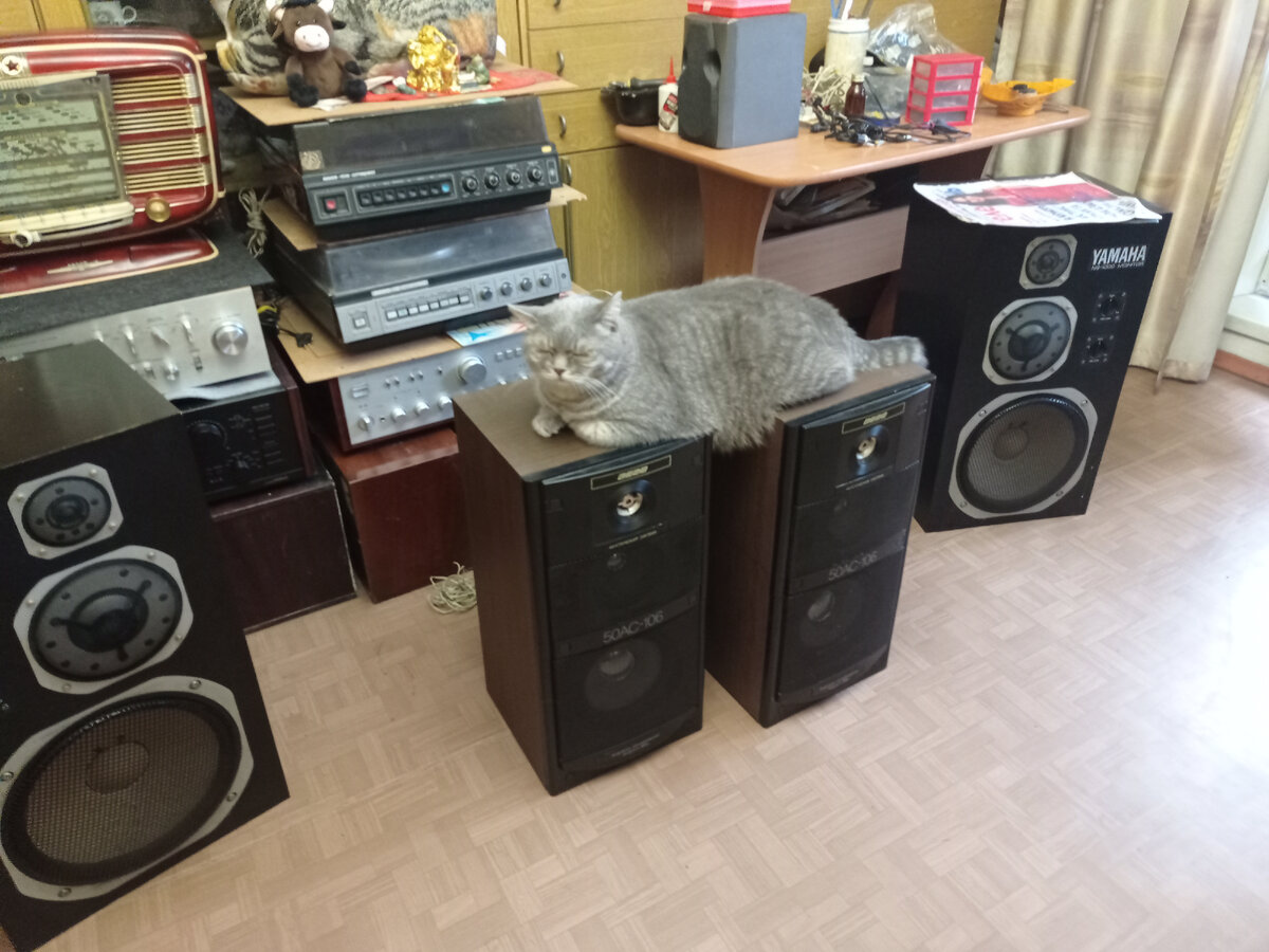 Если есть винтаж аудио, то составь завещание | Винтажная Аудиотехника ...