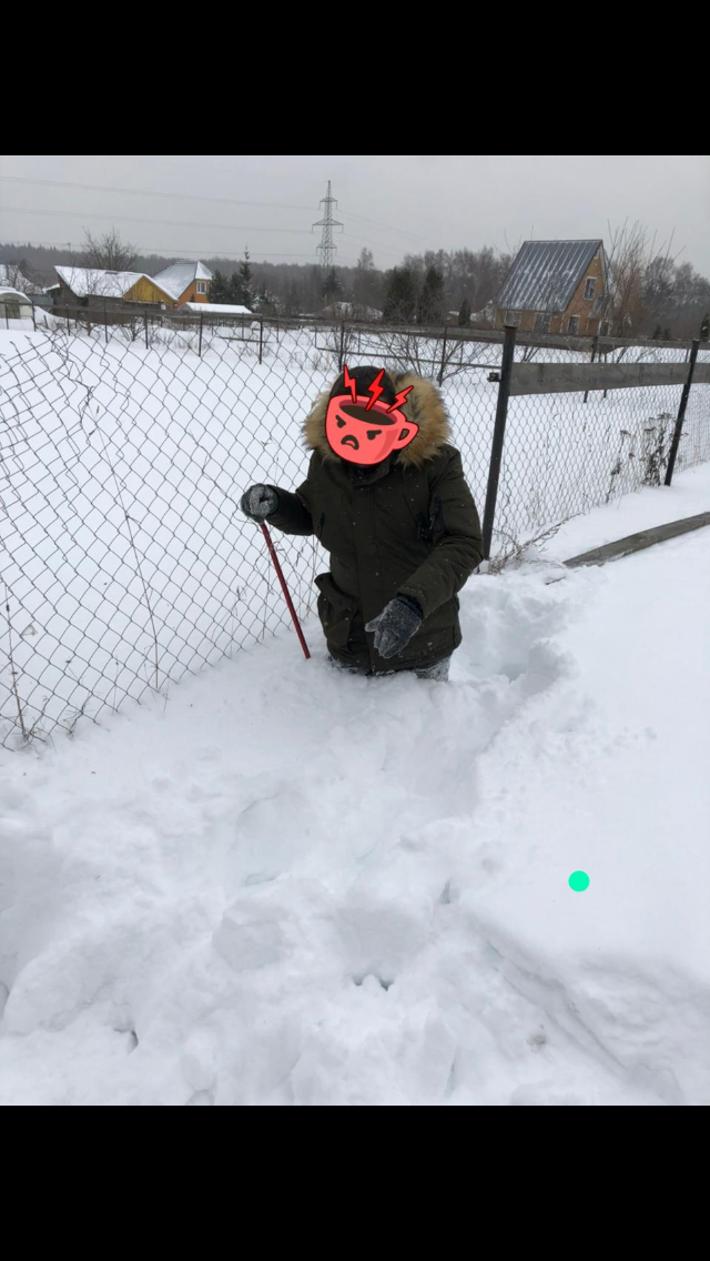 Выражение лица когда так скучаешь по лету а зима только началась...