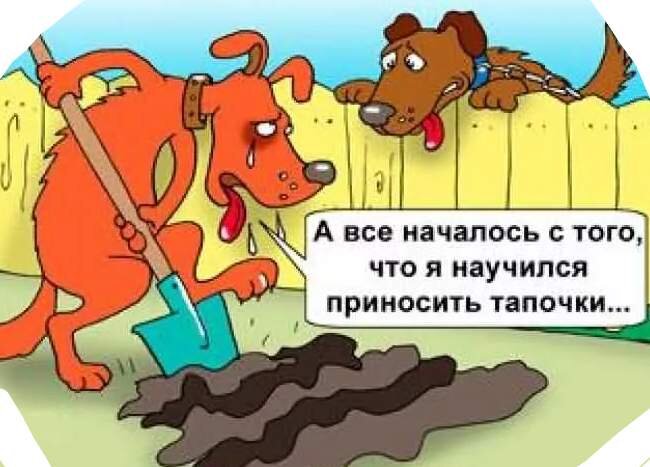 Картинка взята из открытых источников