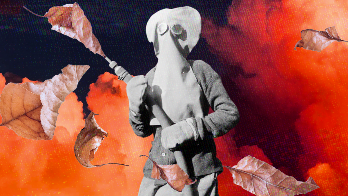 Привет! Это Т—Ж — самый большой в России журнала про деньги. Каждый месяц 16 млн человек читают наши статьи о том, как зарабатывать больше, тратить меньше и жить лучше 