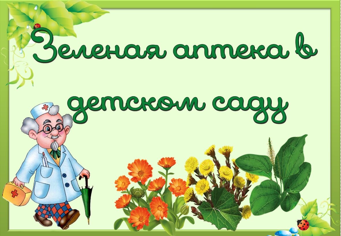 Осторожно дети! Можно ли детям давать лекарственные травы? | Дайджест  Нerbalist. Научное травничество. | Дзен