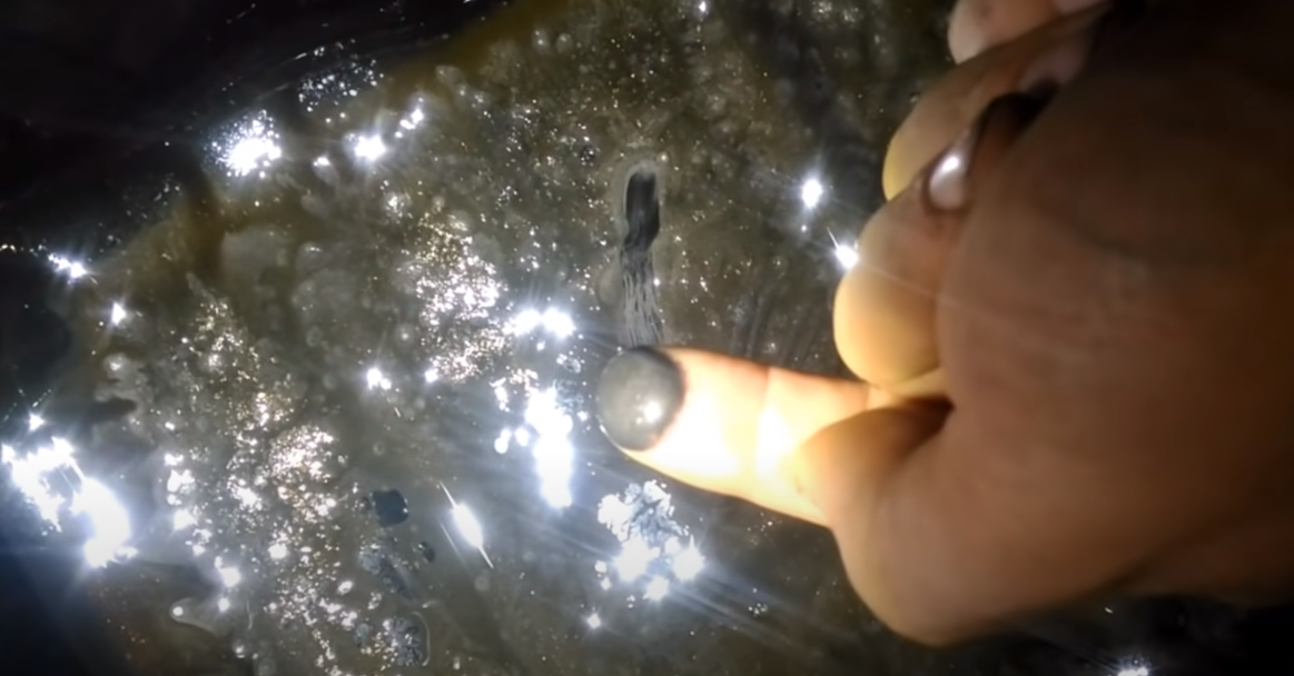 Купил Kia Optima, поехал с семьей на море, на скорости 140 км\\ч ...