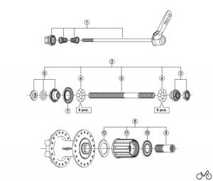Функциональное различие между передней и задней втулкой заключается в сложности конструкции и предназначении в целом. Если передняя осуществляет только вращение переднего колеса, то задняя взаимодействует тем или иным способом с трансмиссией велобайка, позволяя определять скорость и накат колеса. От правильной работы задней втулки будет зависеть эффективность езды велосипеда.