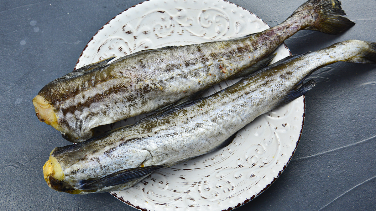 Минтай в томатном соусе - это не только вкусно, но еще просто и дешево.  Подобные рецепты просто находка в наше время | ЧТО ГОТОВИТЬ | Дзен