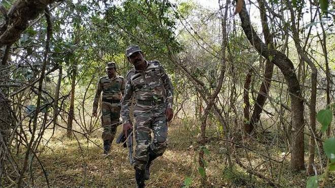 Патрулирование лесных массив силами правопорядка