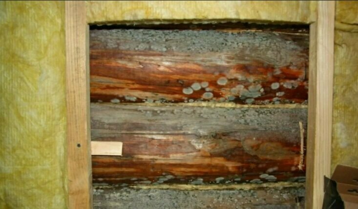 Добавьте описание