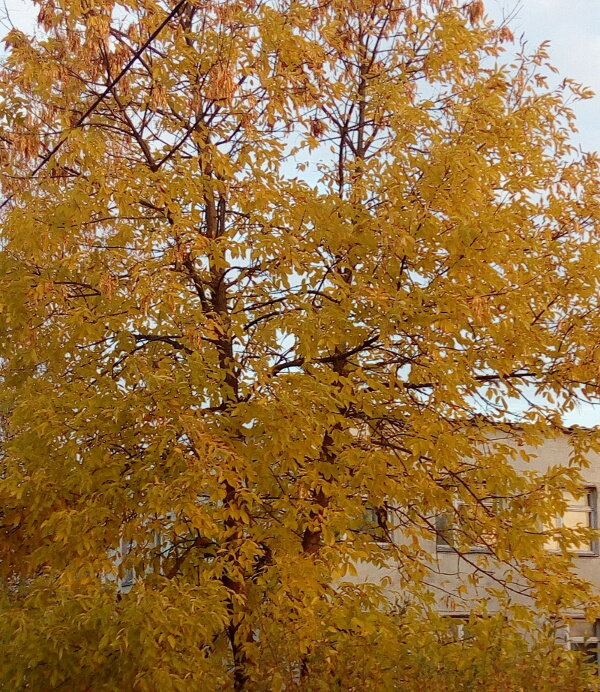 Фото автора для иллюстрации 