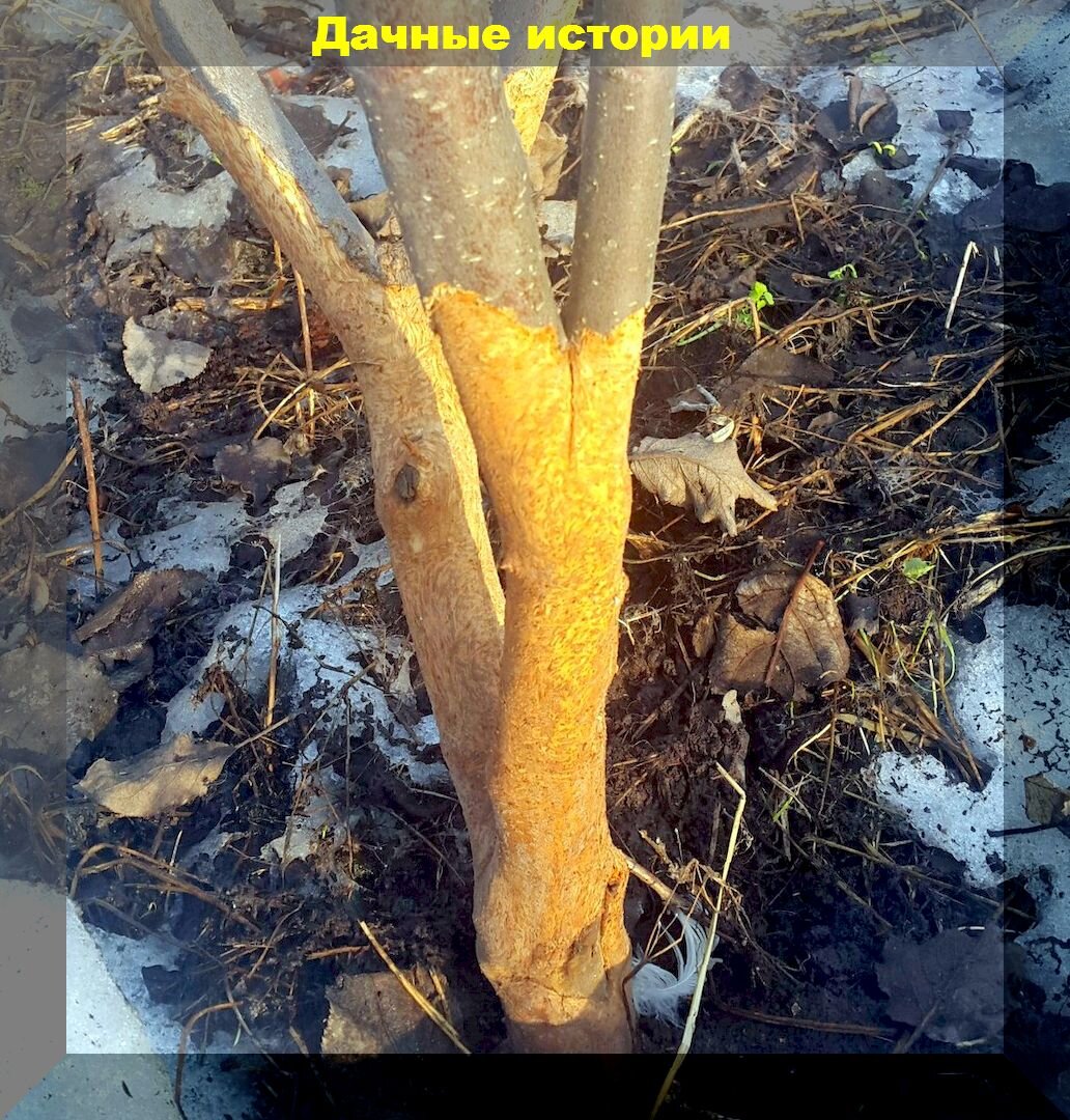 https://vk.com/photo-159774511_457250157