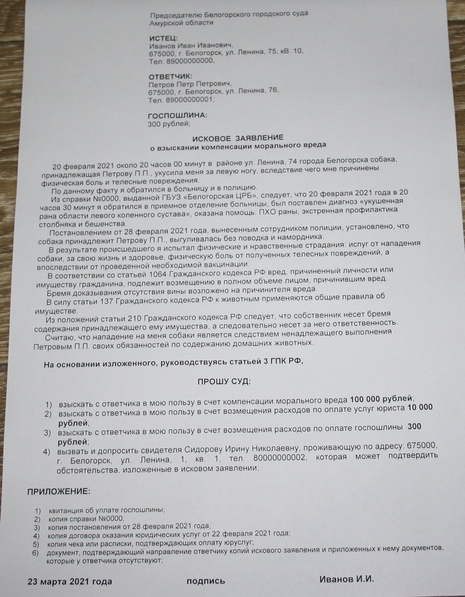 Примерный образец искового заявления о взыскании компенсации морального вреда к хозяину собаки