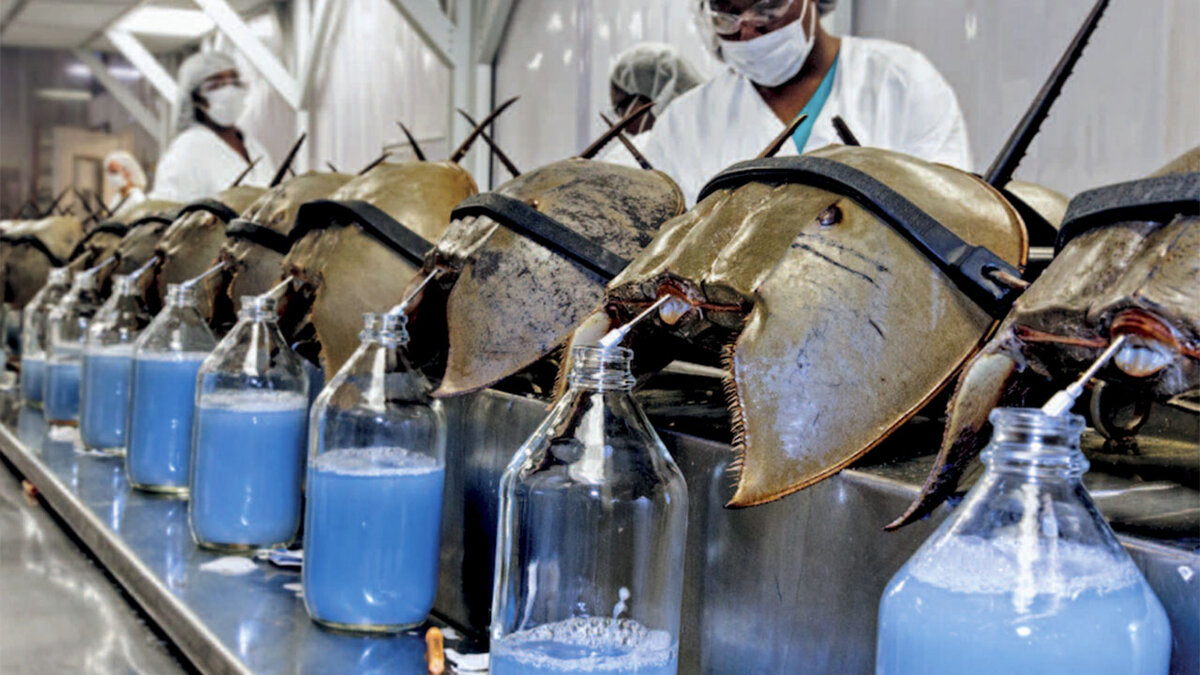 Источник:1.bp.blogspot.com