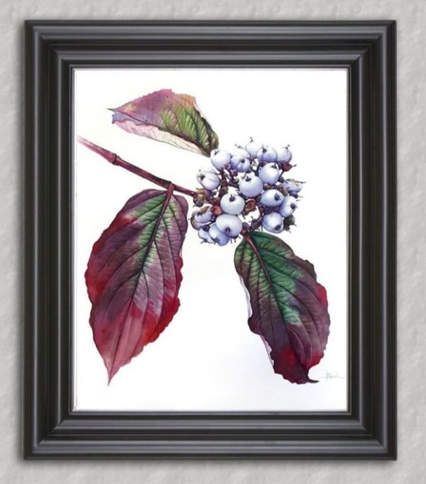 Работа Виктории Поповой. Изображение из аккаунта художницы в Инстаграм @viktoria_popova_wate