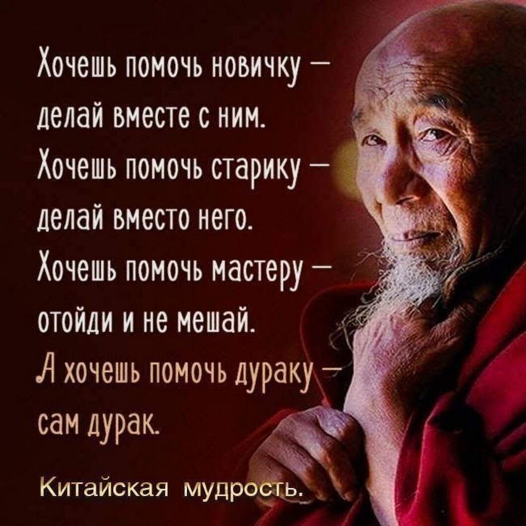 Глупцами не становятся, ими… рождаются | Исторические напёрстки | Дзен