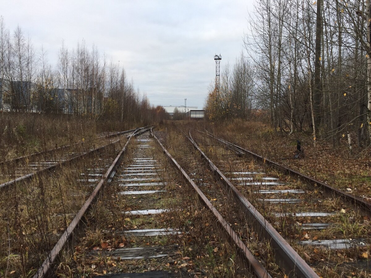 Станция Охта-Товарная. Фото автора.