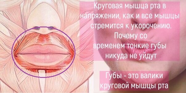 ba - свободный доступ