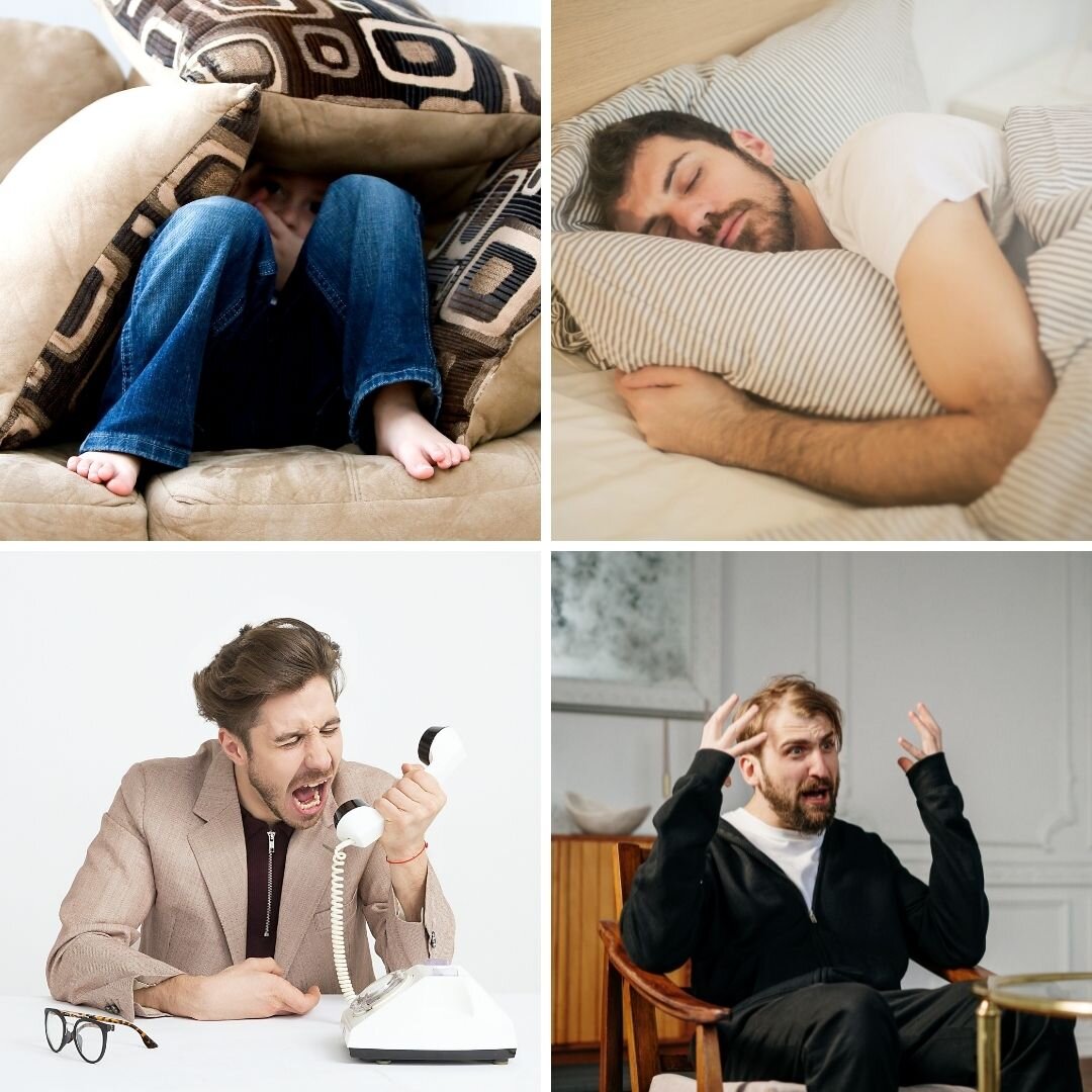 Фото с сайта pexels.com. Авторы фото: moose, pixabay, cottonbro, andrea-piacquadio