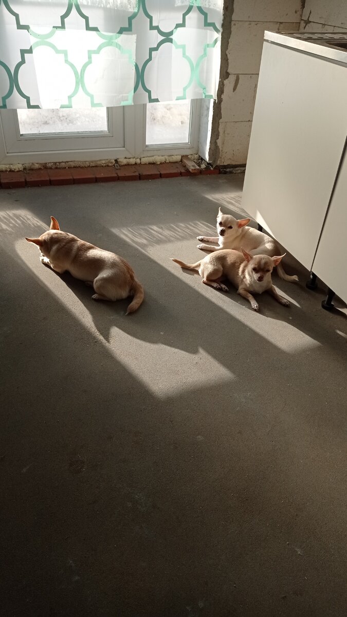 Фото из личного архива