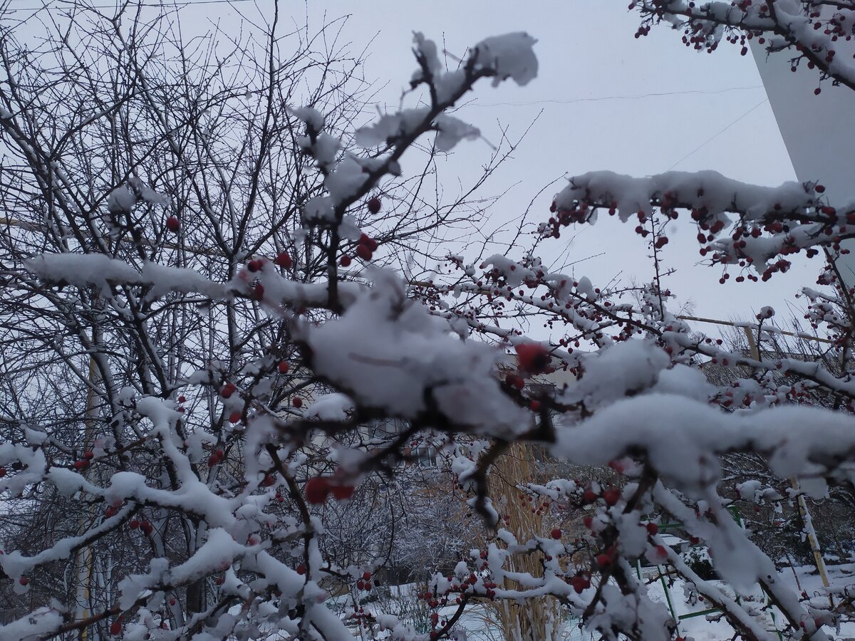 1 марта  Евпатория проснулась в зимней сказке. Однако, следуя печальной крымской традиции, уже после обеда снег вскрылся. Да-да. На реках вскрывается лед, а в Крыму - снег.