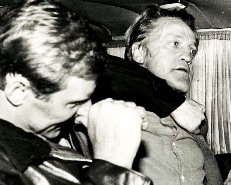 фото из интернета.