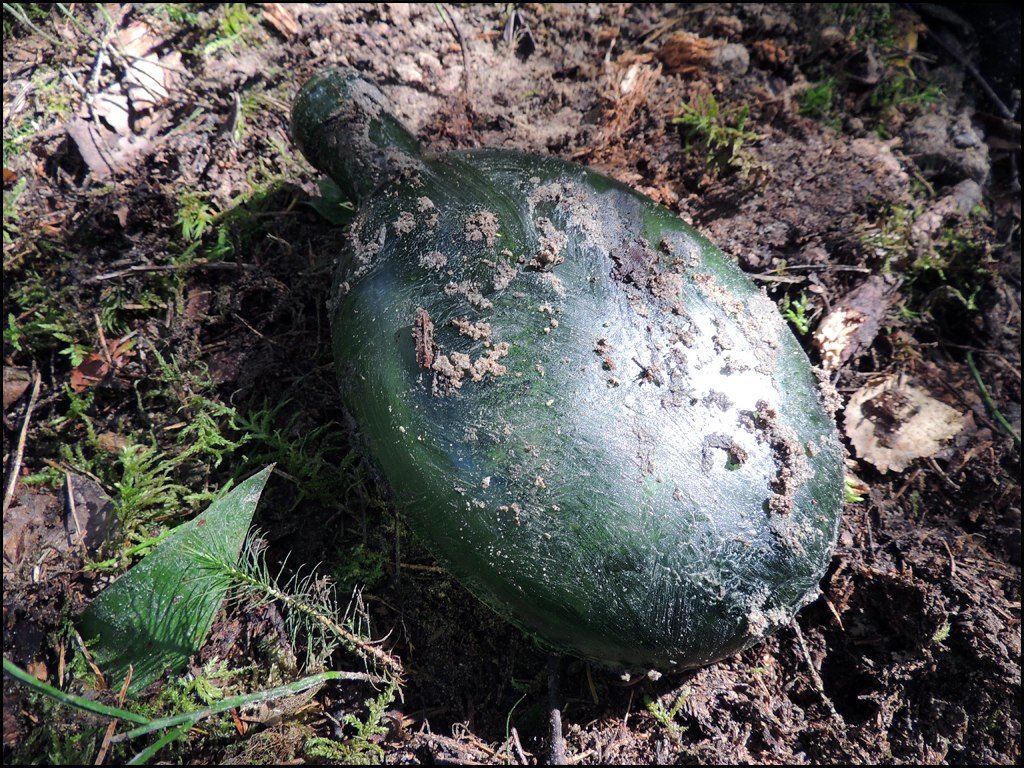 Четырнадцать человек в одной воронке. Эхо Зимней войны | Дым Отечества ...
