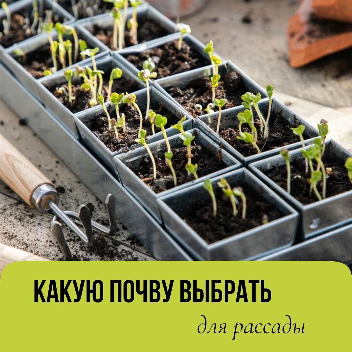 График благоприятных дней для посадки рассады. Посев томатов на рассаду в марте 2024г. Посев томатов на рассаду в марте 2024г. Посадка семян томатов. Календарь посадки рассады на 2022.