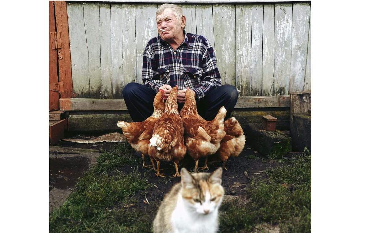 Фото: Dmitry Egorov: pexels 