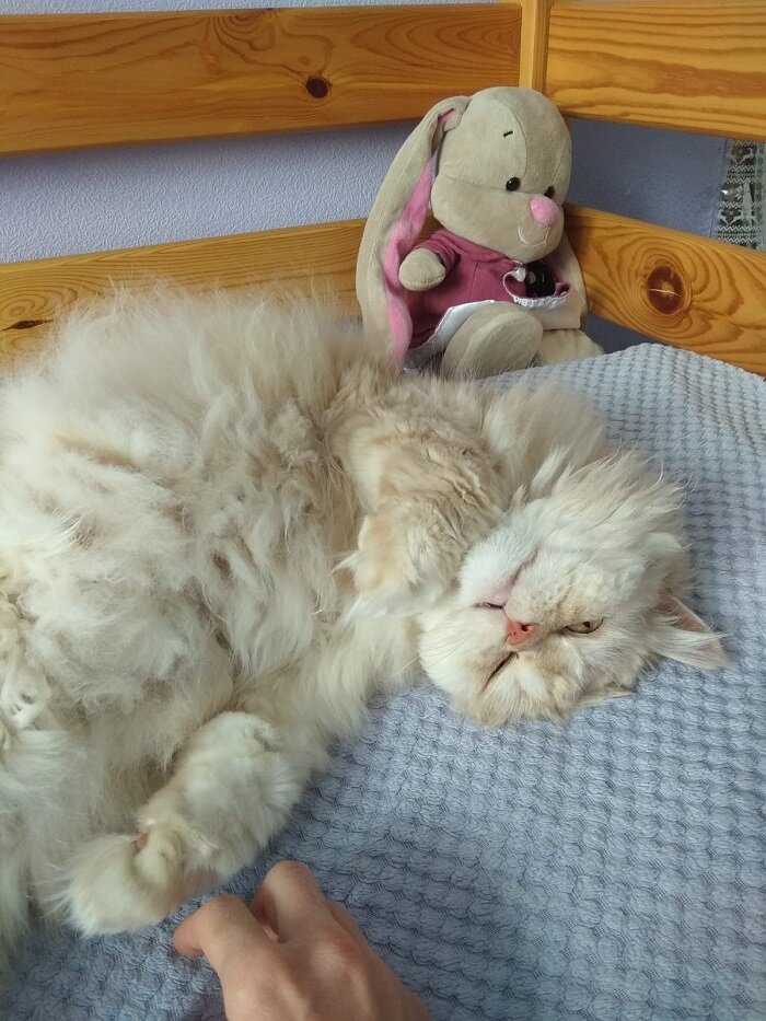 Шладкий шкодник номер раз))