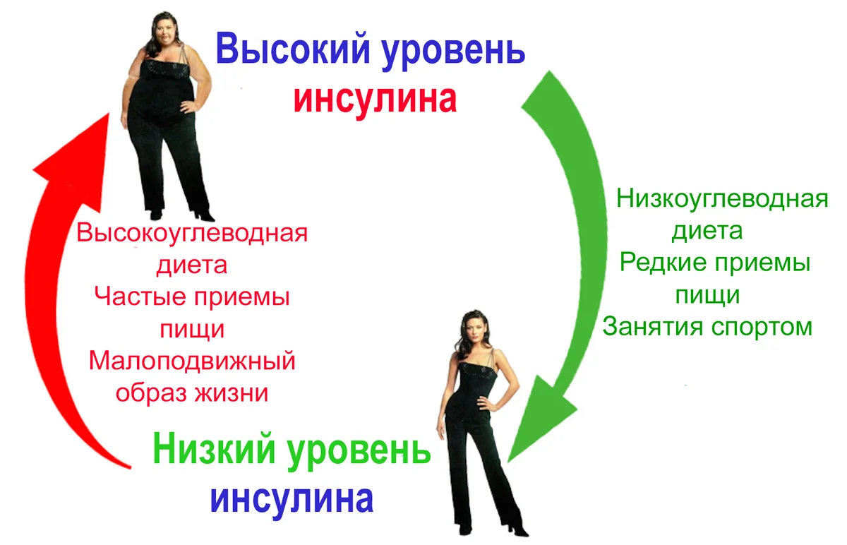 Фото: avatars.mds.yandex.net