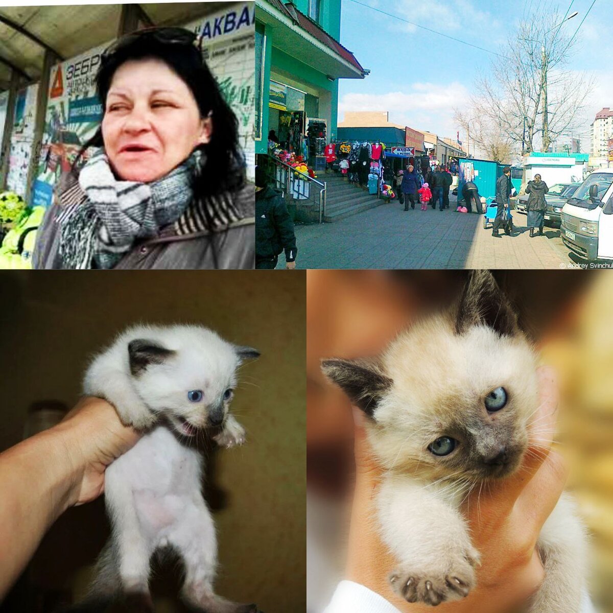 коллаж для примера.