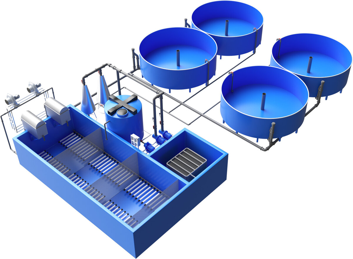 Яндекс картинки
