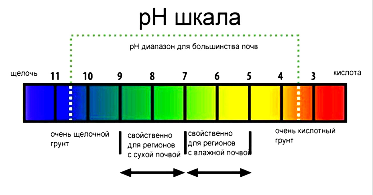 pH шкала