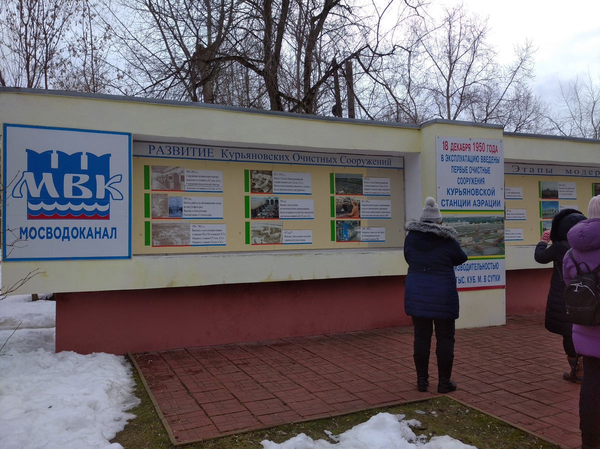 Живём в Курьяново. Рассказываю о жизни в самом заповедном районе Москвы