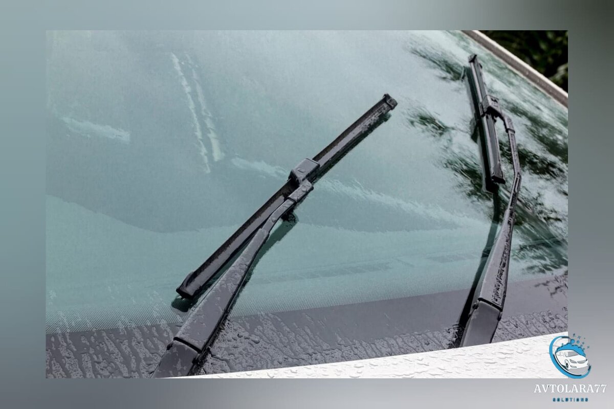 купить: https://ya.cc/m/3QtSeS