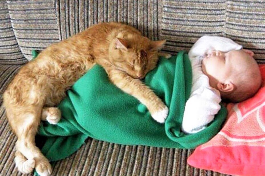 «Друзья навеки», - 15+ трогательных кадров любви между ребенком и ...