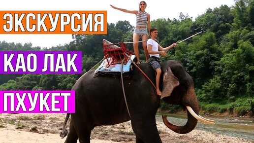 Экскурсия Као Лак на Пхукете - слоны, сплав по реке, черепахи. Впервые в джунглях