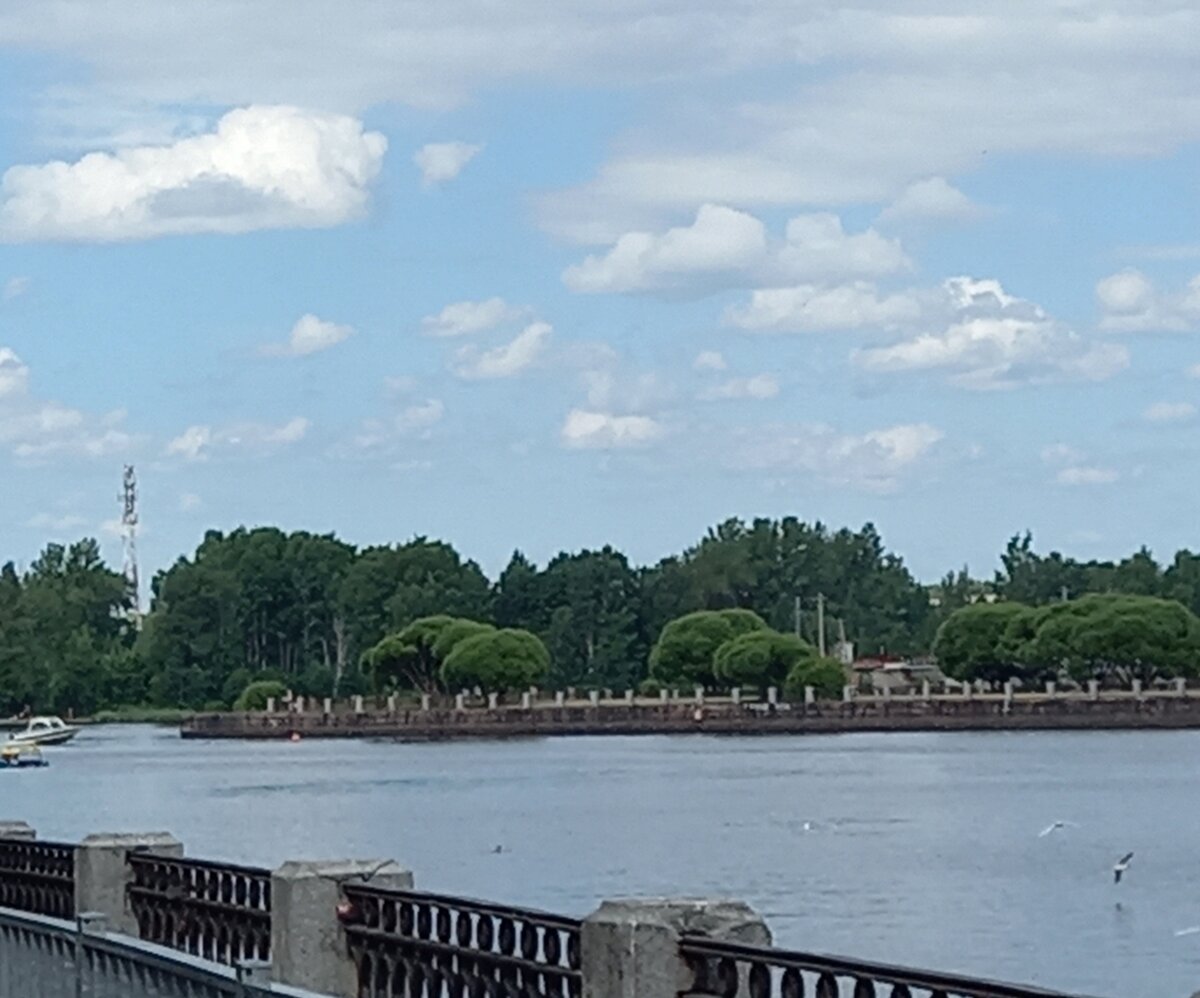 Пейзаж с деревьями, похожими на брокколи. Так вижу.